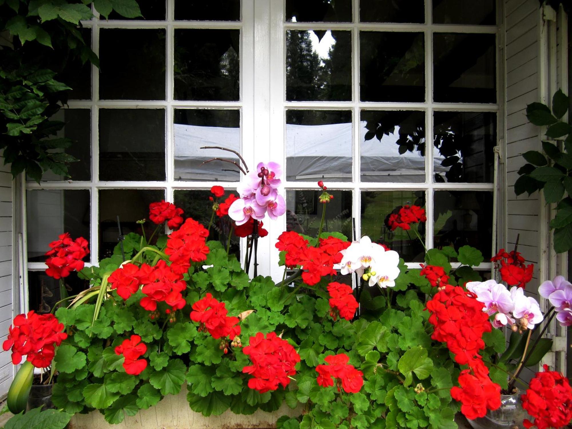 Bed and Breakfast La Croix Du Reh Châteauneuf-la-Forêt Exterior foto