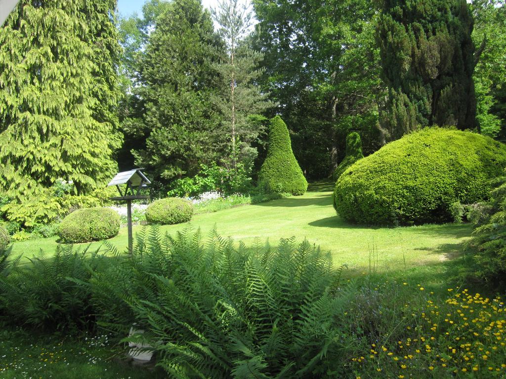 Bed and Breakfast La Croix Du Reh Châteauneuf-la-Forêt Exterior foto